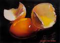 طبيعة صامتة  ؛؛:: still life ::؛؛-_cracked__egg_still_life_oil_on_canvas_b4c8e2a4034de518ab1081a80213c9bd.jpg