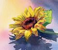 طبيعة صامتة  ؛؛:: still life ::؛؛-sunny_side_up_watercolor_floral_painting_a91fc737552e21b61f804fd53859c27d.jpg