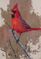 لوحات..من روائع  رسم الطيور-red_cardinal_study_2_7bf3c8df5e82f0021de723eb5020a6db.jpg