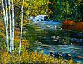 لوحات  من الفن الكندي المعاصر-autumnspectrum_murrayphillips.jpg