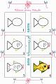 رسم سمكة - يصلح درس-images (2).jpe