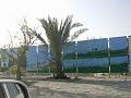 جداريات عين عذاري في البحرين-dscn1248.jpg