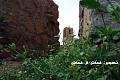 صور حديثة من قريتي - منطقة عسير-قرية آل الشيخ - بلادقحطان3 .jpg