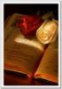 الصورة الرمزية @@بشوره@@