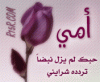 الصورة الرمزية art.art