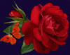 الصورة الرمزية rose11