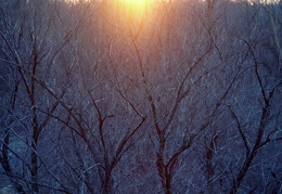 Sunset 577